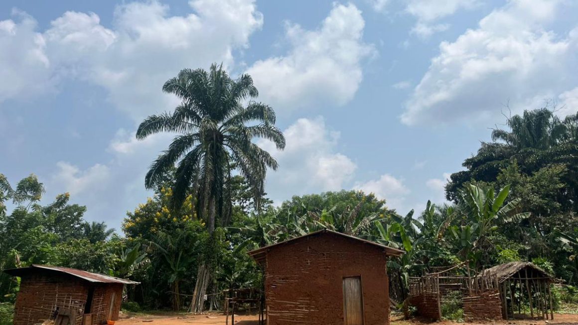 Beni : au moins 2 morts et des dizaines de maisons incendiées dans une attaque armée à Mamove